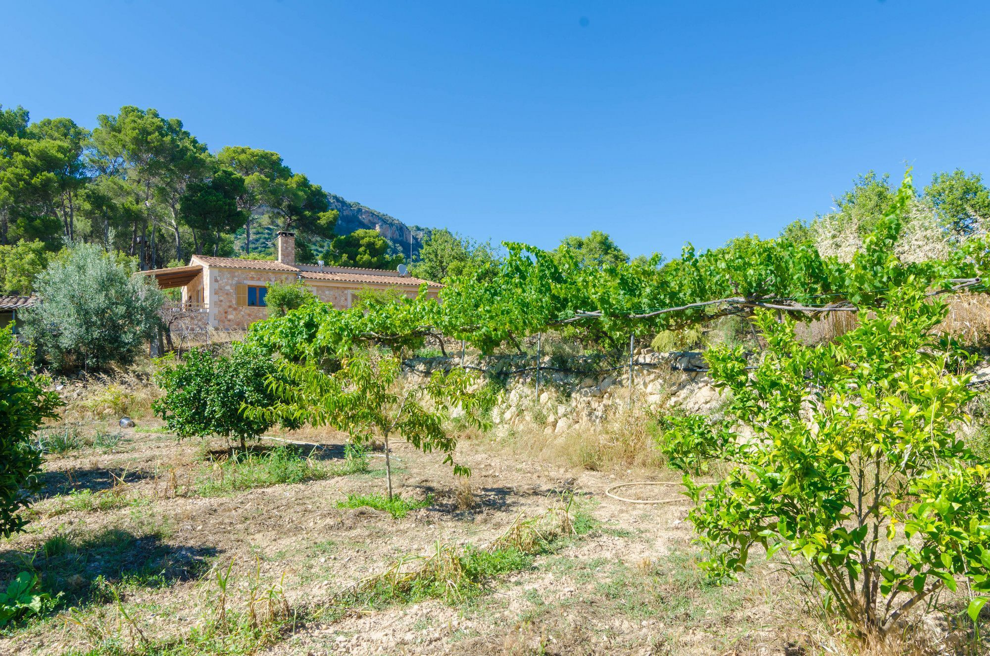 Aresta Den Rumbet 3* Llucmajor (Mallorca)